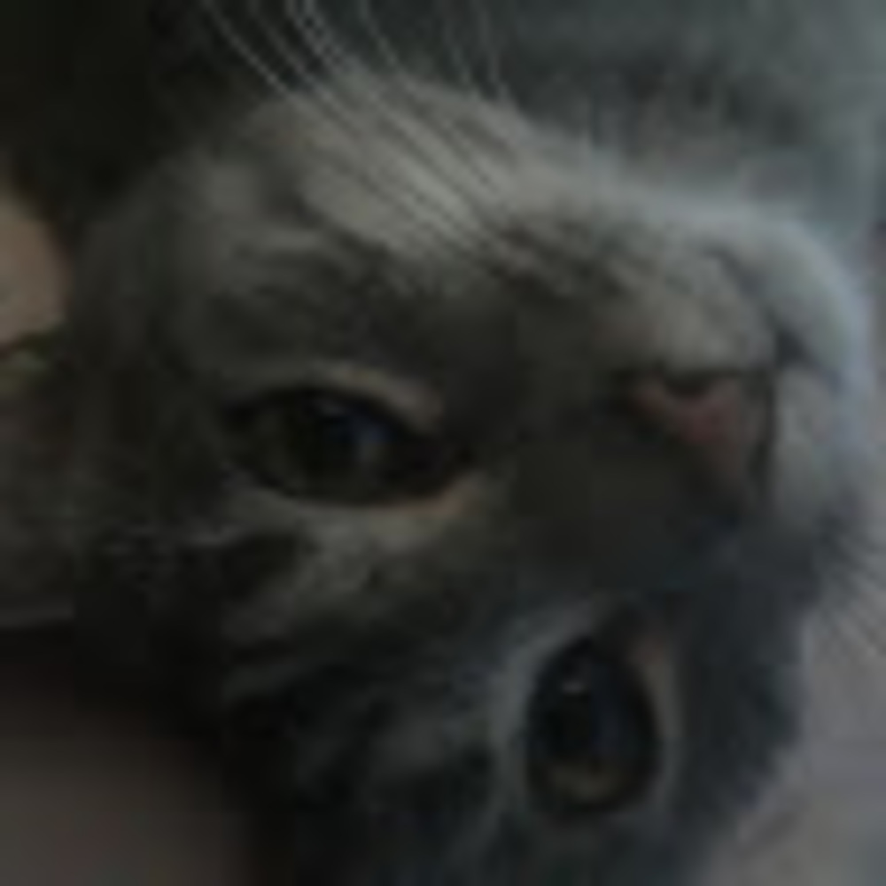 Meet your Posher, Sophie